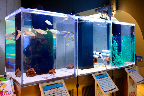 【指定管理】浜名湖体験学習施設ウォット【土日祝限定の受付施設スタッフ】